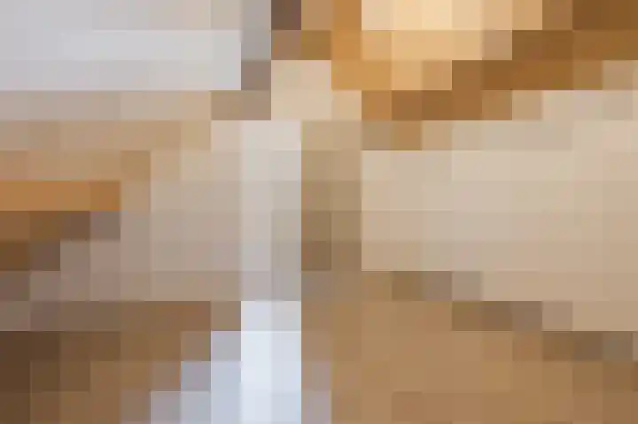 Robert Schumansingel 6 Budel thumbnail 31
