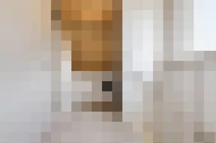Robert Schumansingel 6 Budel thumbnail 32