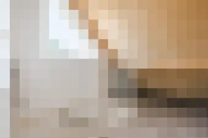 Robert Schumansingel 6 Budel thumbnail 33