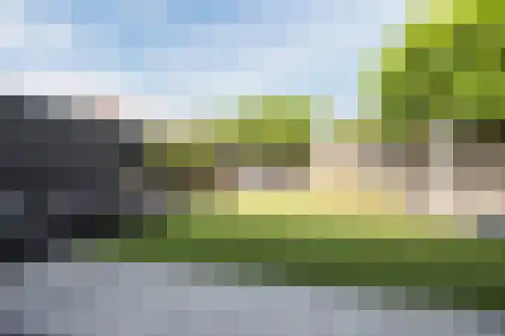 Robert Schumansingel 6 Budel thumbnail 35