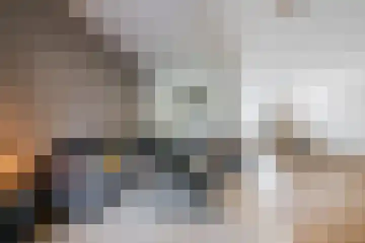 Robert Schumansingel 6 Budel thumbnail 7