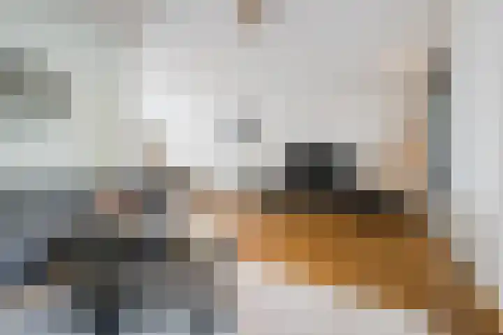 Robert Schumansingel 6 Budel thumbnail 8