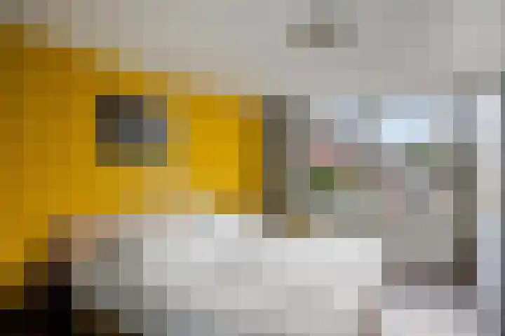 Robert Schumansingel 9 Budel thumbnail 12