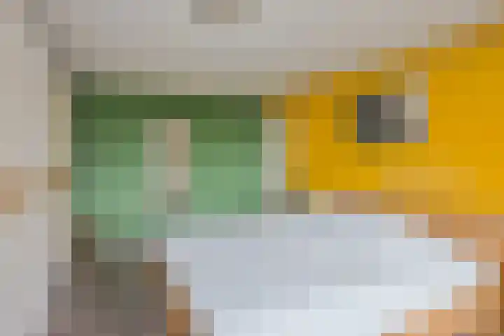 Robert Schumansingel 9 Budel thumbnail 13