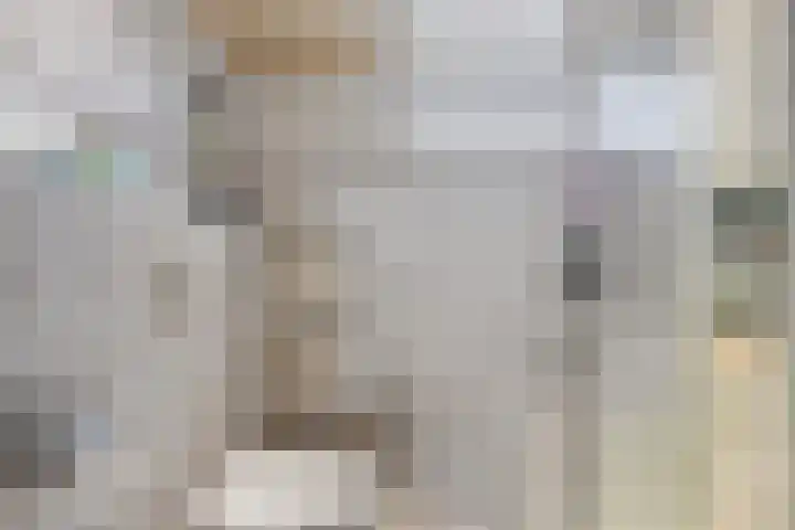 Robert Schumansingel 9 Budel thumbnail 17