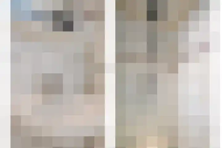 Robert Schumansingel 9 Budel thumbnail 18