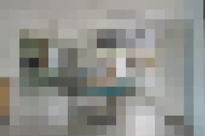 Robert Schumansingel 9 Budel thumbnail 8