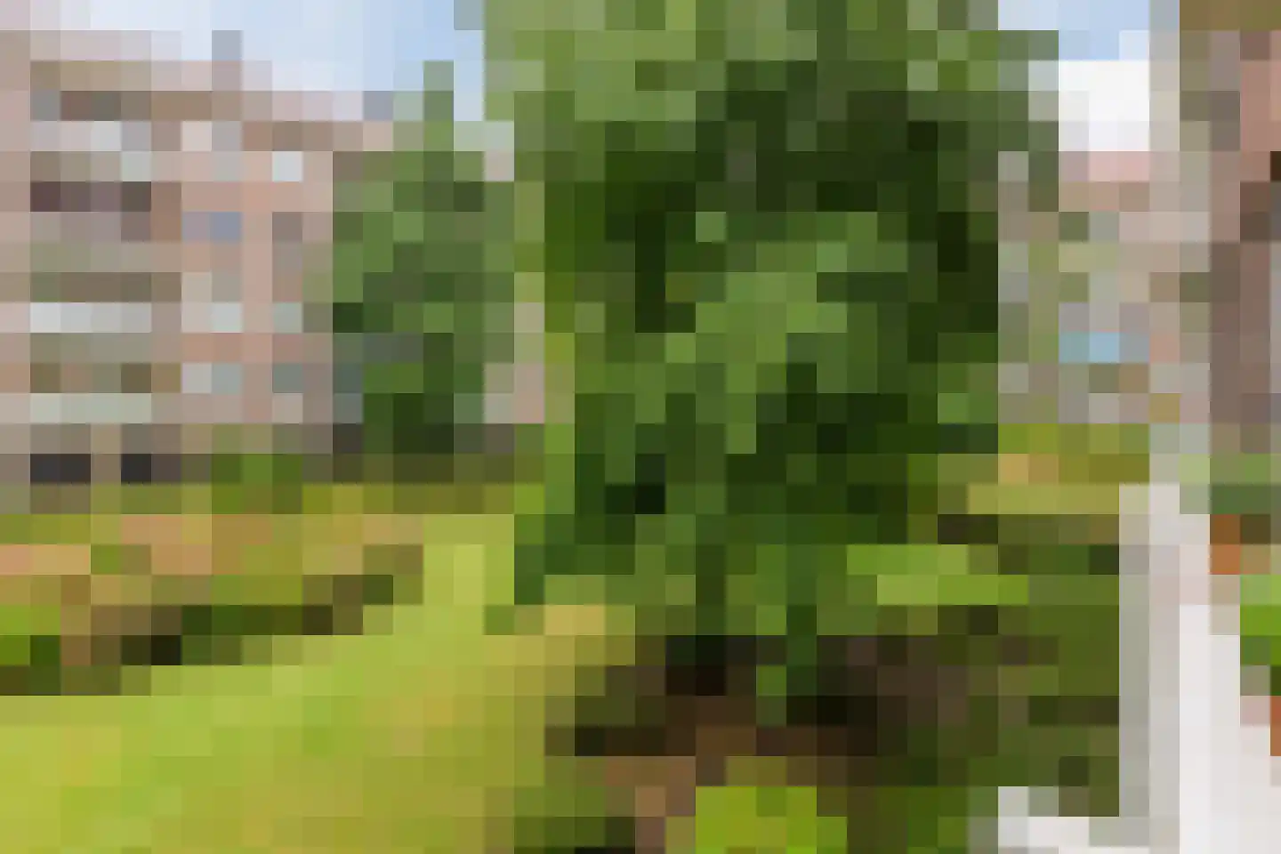 Robert Scottstraat 13 H Amsterdam thumbnail 27