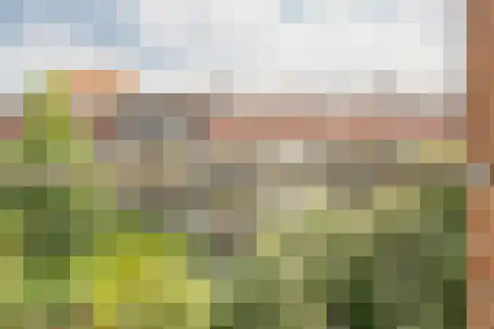 Robert Scottstraat 20 2 Amsterdam thumbnail 17