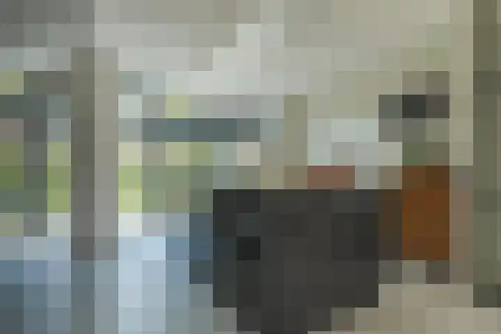 Robert Stolzhof 122 Hoorn thumbnail 29