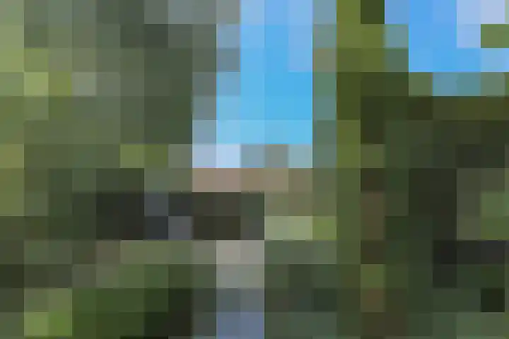Robert Stolzhof 122 Hoorn thumbnail 48