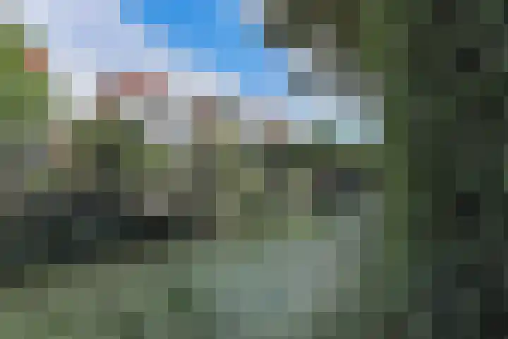 Robert Stolzhof 122 Hoorn thumbnail 61