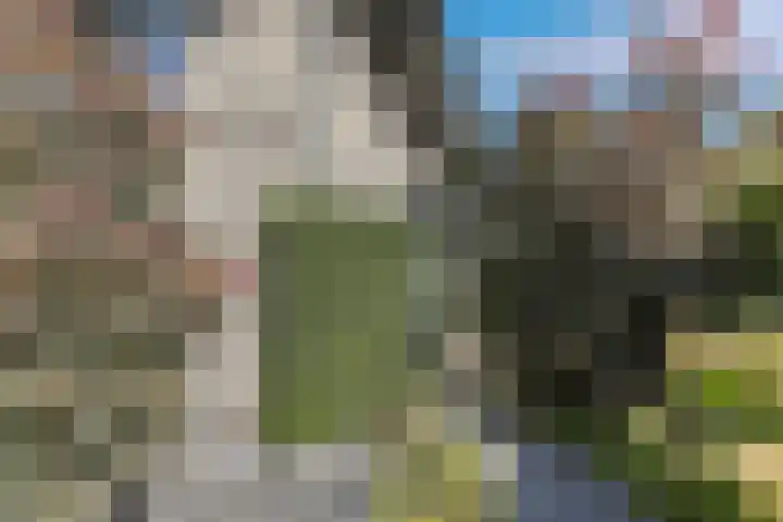 Robert Stolzhof 122 Hoorn thumbnail 63