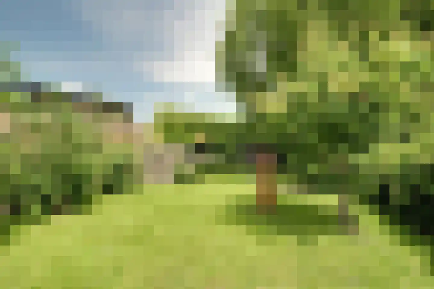 Robert Stolzhof 142 Hoorn thumbnail 24