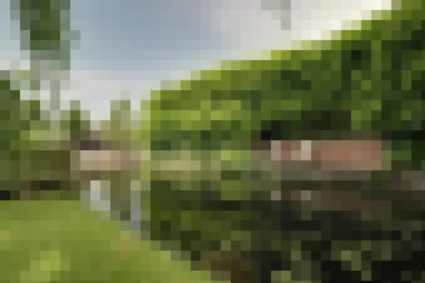 Robert Stolzhof 142 Hoorn thumbnail 26