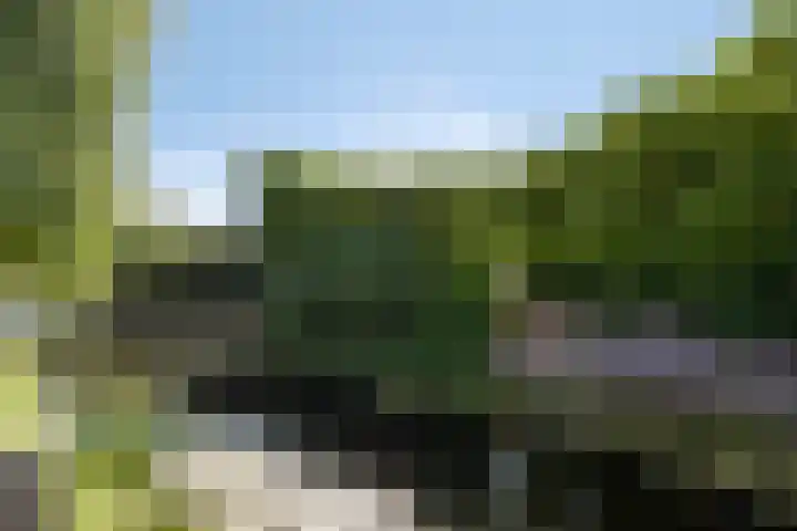 Robert Stolzhof 155 Hoorn thumbnail 32