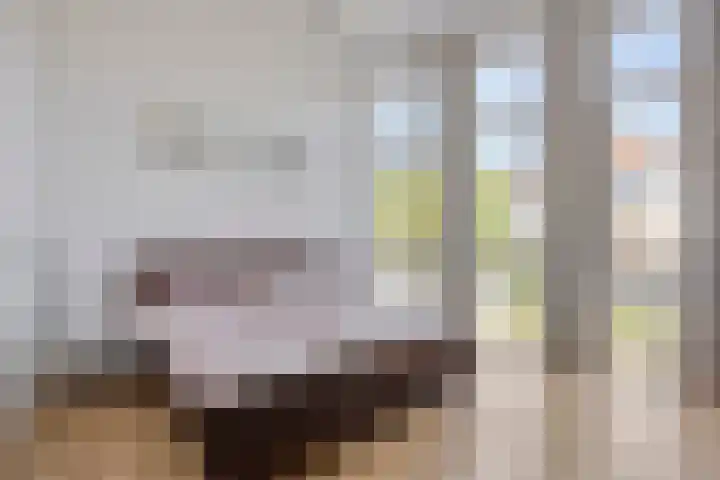 Robert Stolzhof 155 Hoorn thumbnail 5