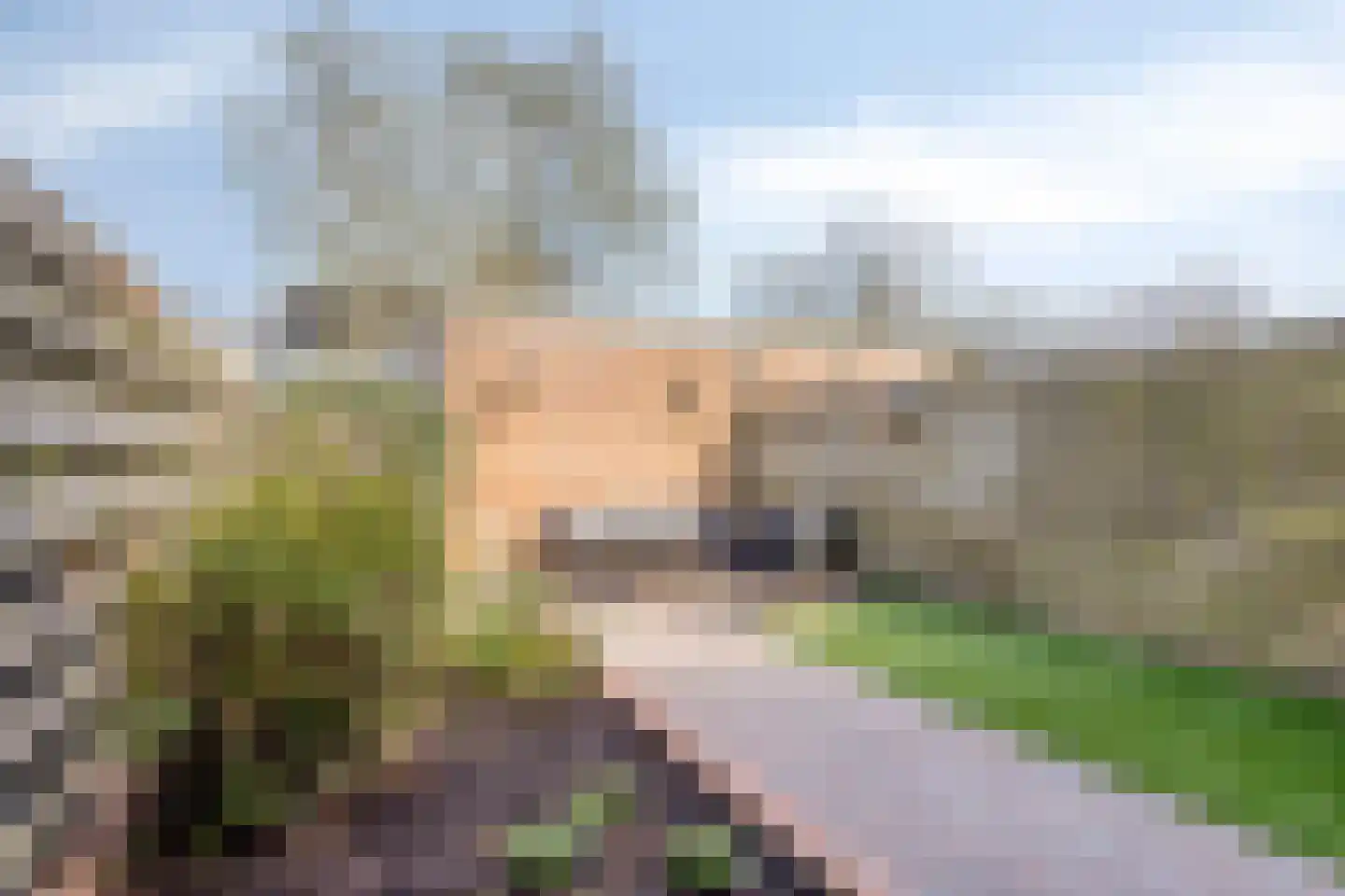 Robert Stolzhof 199 Hoorn thumbnail 30