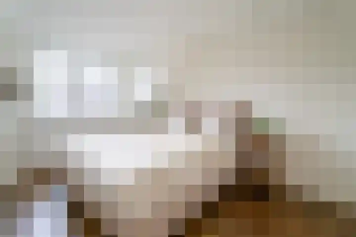 Robert Stolzhof 210 Hoorn thumbnail 15