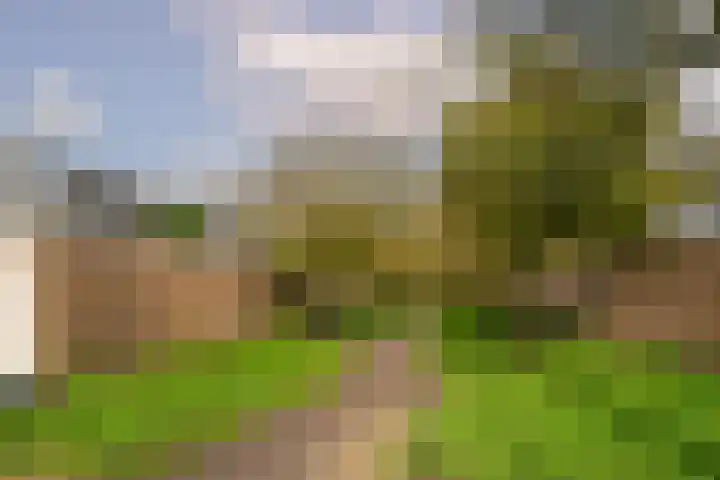 Robert Stolzhof 210 Hoorn thumbnail 34
