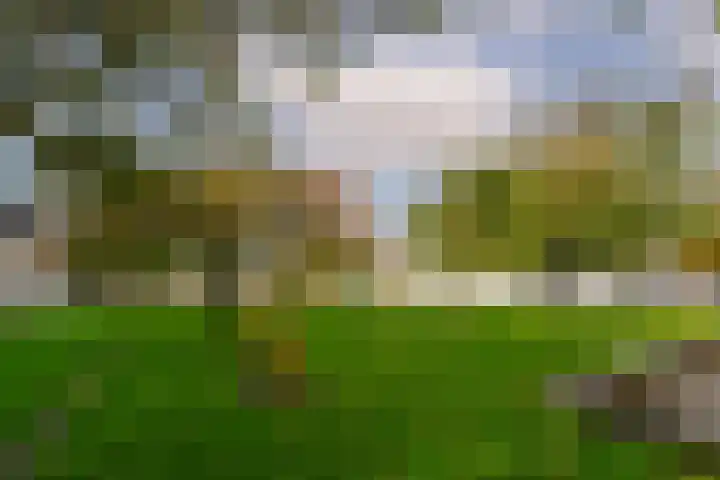 Robert Stolzhof 210 Hoorn thumbnail 35
