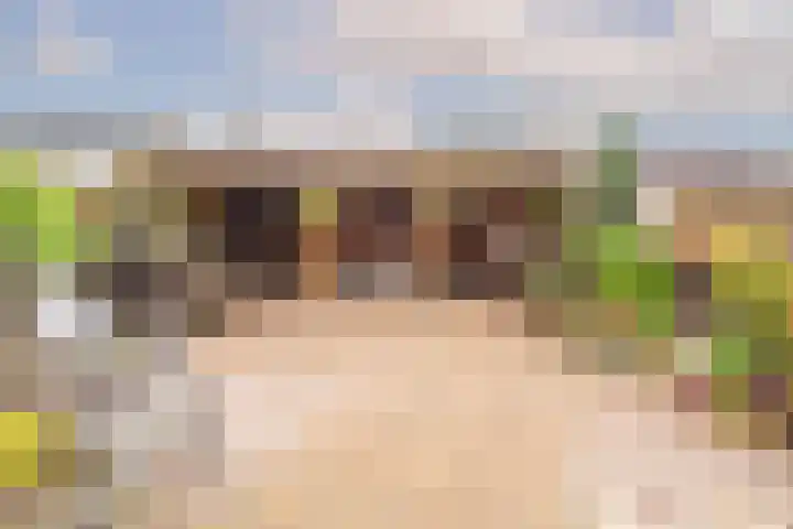 Robert Stolzhof 210 Hoorn thumbnail 4