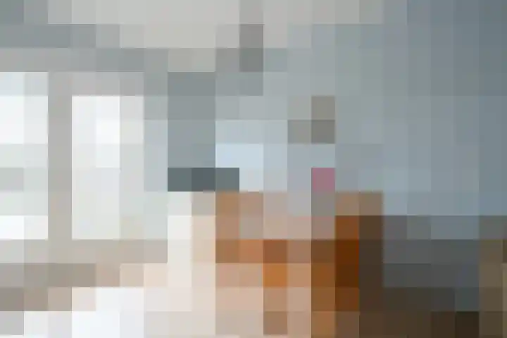 Robert Stolzhof 217 Hoorn thumbnail 12