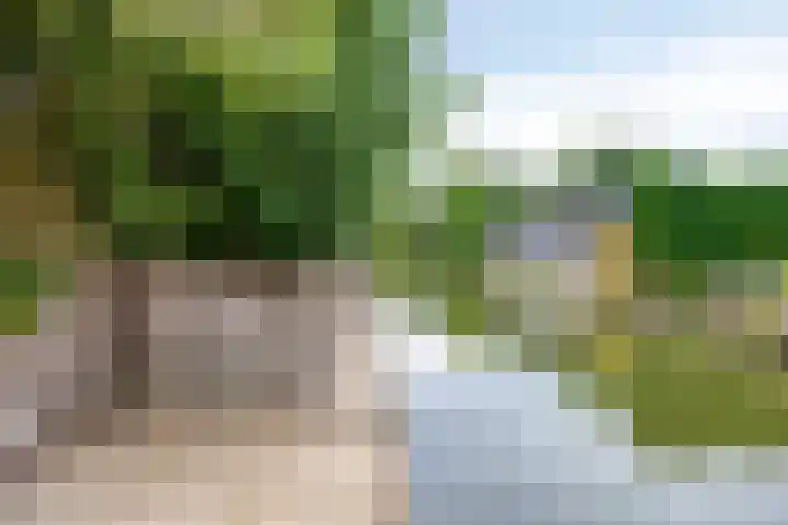Robert Stolzhof 241 Hoorn thumbnail 38