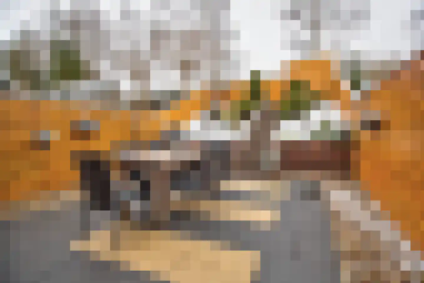 Robert Stolzhof 25 Hoorn thumbnail 51