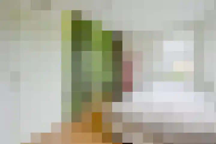 Robert Stolzhof 256 Hoorn thumbnail 17