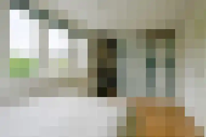 Robert Stolzhof 256 Hoorn thumbnail 18
