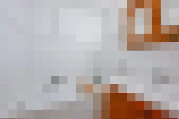 Robert Stolzhof 256 Hoorn thumbnail 25