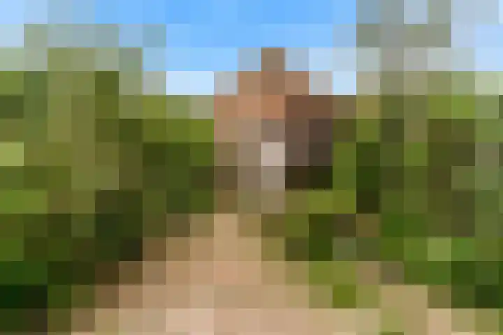 Robert Stolzhof 285 Hoorn thumbnail 25