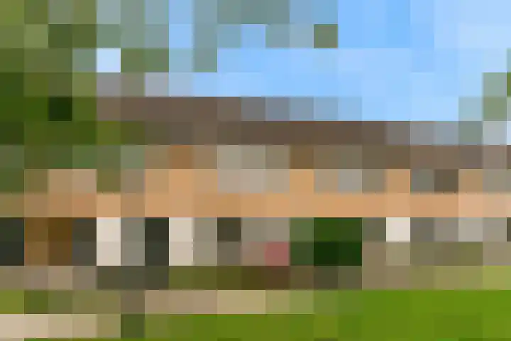 Robert Stolzhof 285 Hoorn thumbnail 43
