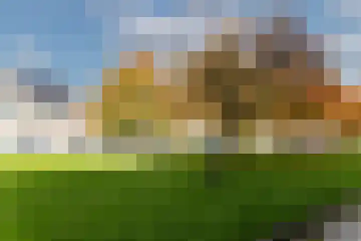 Robert Stolzhof 289 Hoorn thumbnail 10