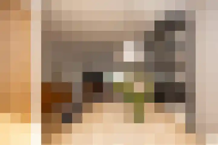 Robert Stolzhof 289 Hoorn thumbnail 22