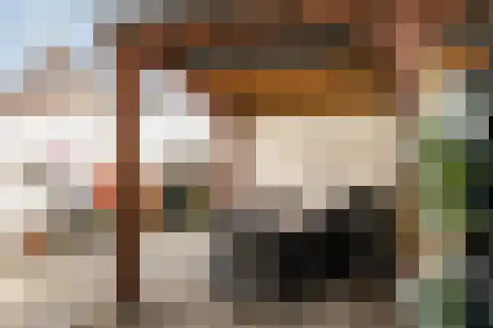 Robert Stolzhof 289 Hoorn thumbnail 55