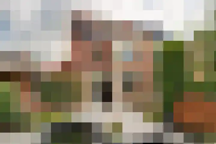 Robert Stolzhof 41 Hoorn thumbnail 18