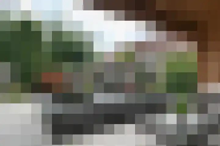 Robert Stolzhof 41 Hoorn thumbnail 23