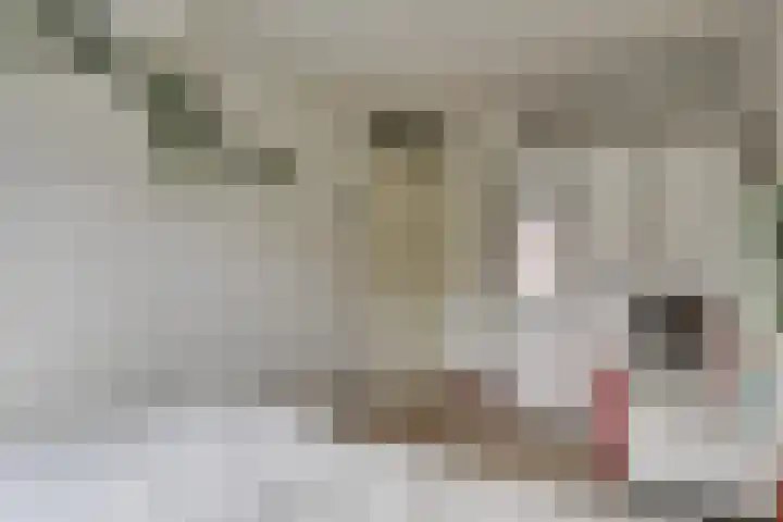 Robert Stolzhof 41 Hoorn thumbnail 27