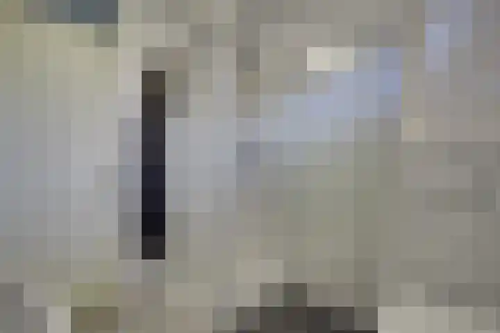Robert Stolzhof 41 Hoorn thumbnail 32