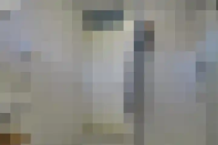 Robert Stolzhof 41 Hoorn thumbnail 33