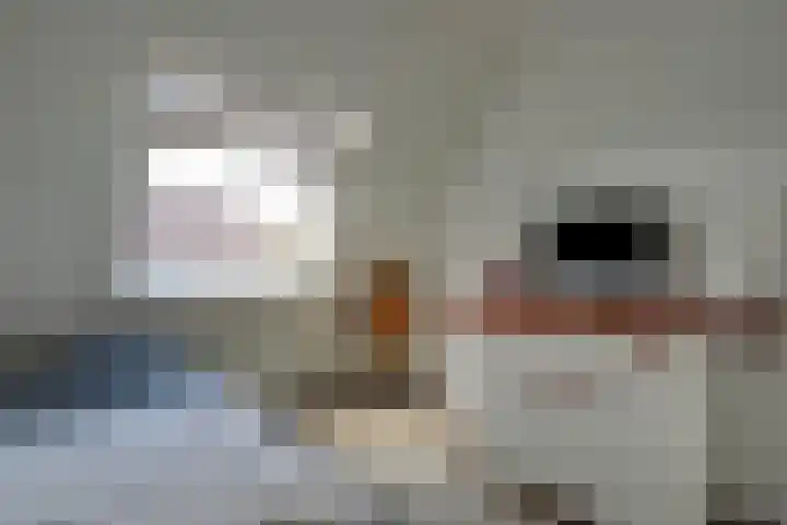 Robert Stolzhof 41 Hoorn thumbnail 35