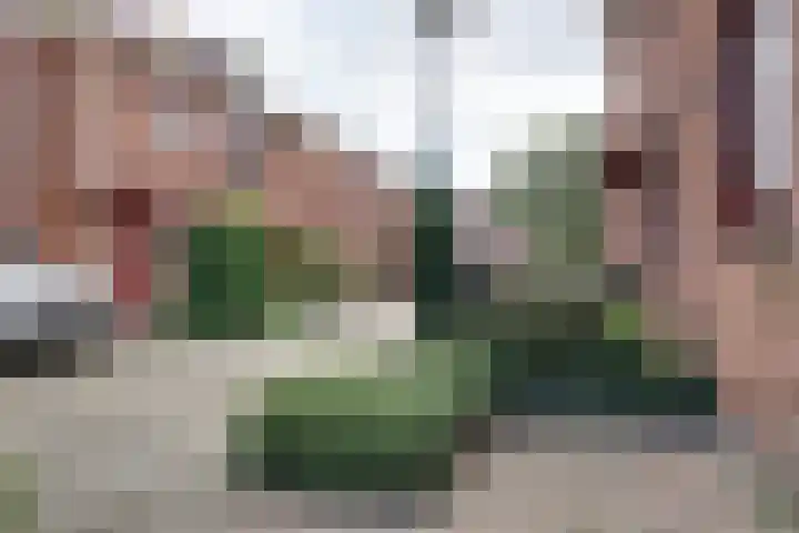 Robert Stolzhof 41 Hoorn thumbnail 42