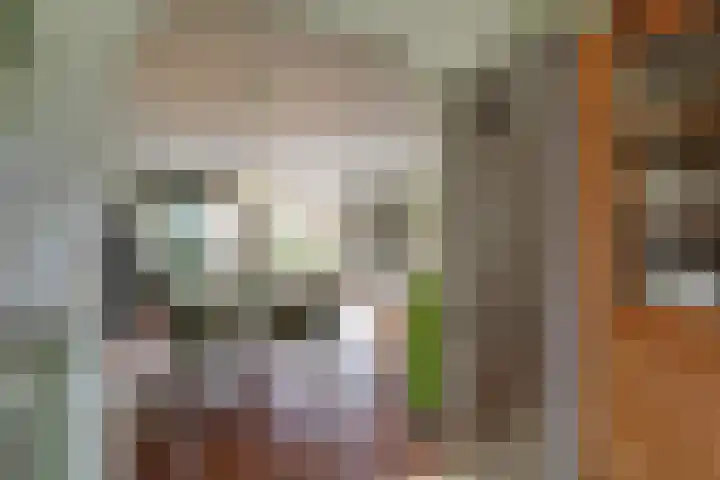 Robert Stolzhof 41 Hoorn thumbnail 8