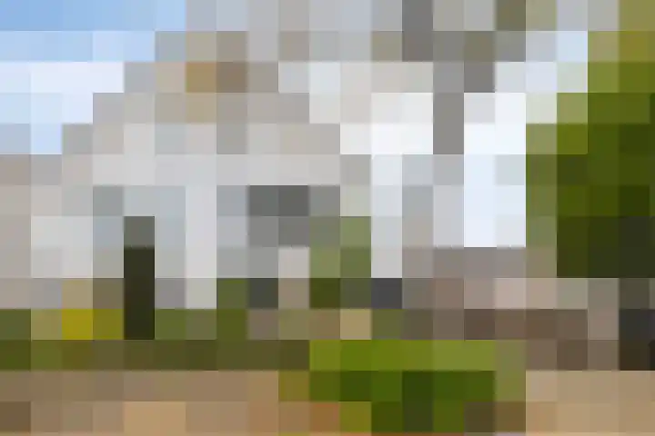 Robert Stolzhof 53 Hoorn thumbnail 41