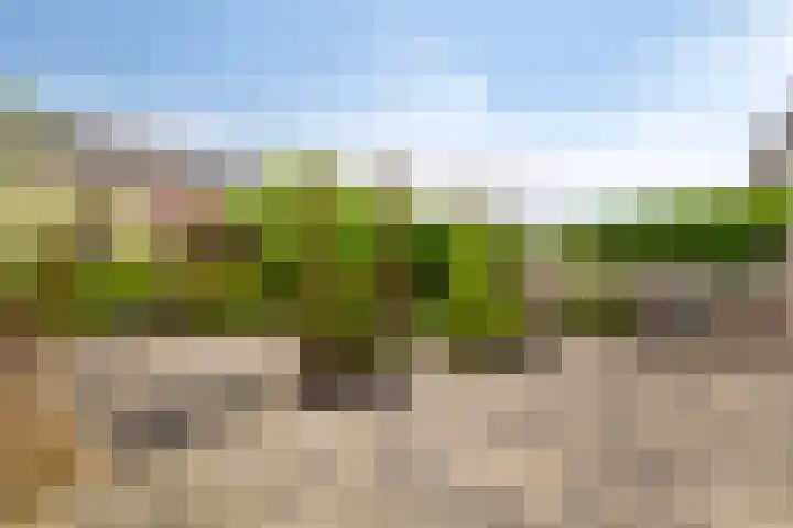 Robert Stolzhof 53 Hoorn thumbnail 5