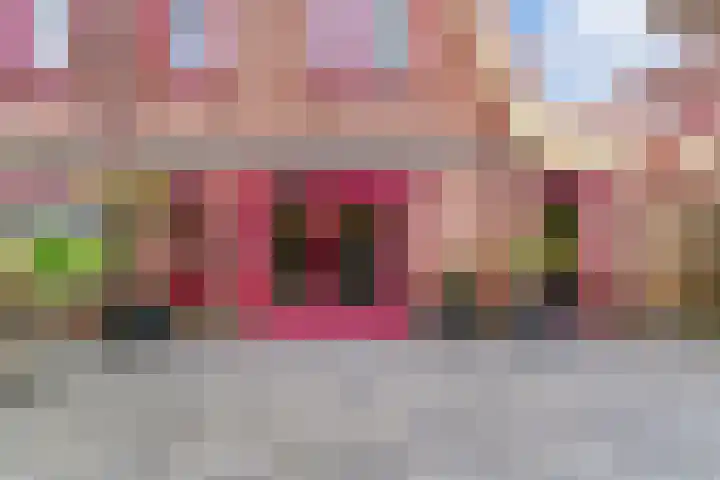 Robert Stolzhof 83 Hoorn thumbnail 26