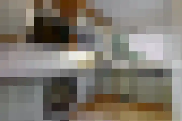 Robert Stolzhof 83 Hoorn thumbnail 9
