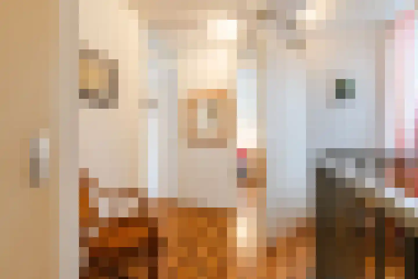 Robert Stolzlaan 24 Utrecht thumbnail 22